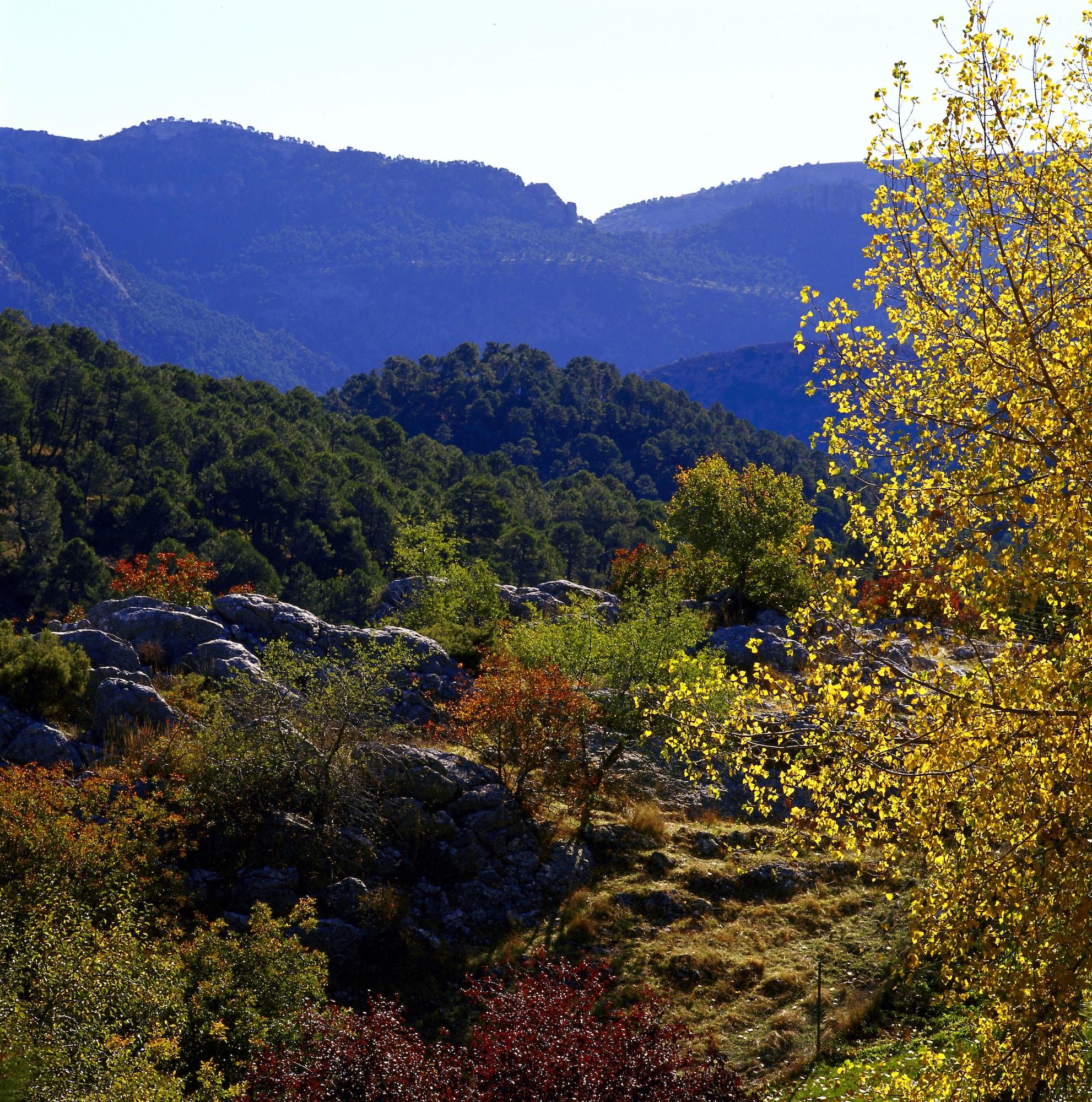 Parador De Cazorla Hotel Exterior photo